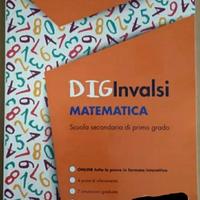 Libro DIG Invalsi matematica 