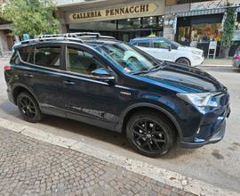 TOYOTA RAV4 Hybrid Dynamic