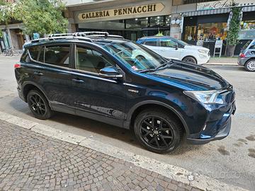 TOYOTA RAV4 Hybrid Dynamic