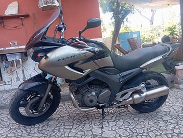 Tdm 900