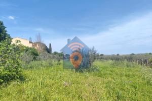 Castelvetrano Terreno E Magazzino