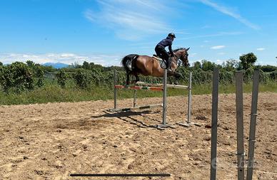 Cavallo