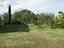 Immagine 20