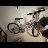 Bicicletta MTB Dinamite ruote 24” Ragazzo 10-11-12