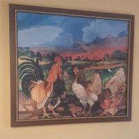 galline nel campo