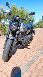 Benelli Leoncino 500