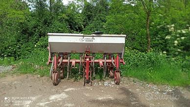 sarchiatrice mais o girasole