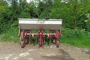 sarchiatrice mais o girasole