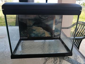 Acquario Mirabello 25 litri