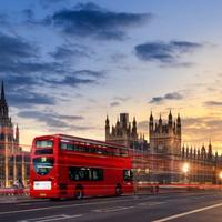 Insegnante madrelingua di Inglese online - 20/ora