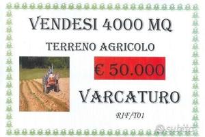 Terreno agricolo di 4000 mq a Varcaturo