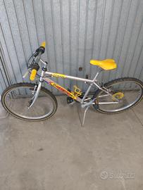 Mountain bike Bottecchia