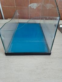 acquario di vetro per pesci e tartarughe marine