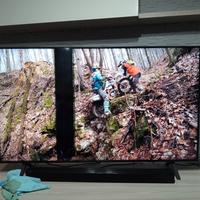 smart TV LG 55" da sostituire pannello