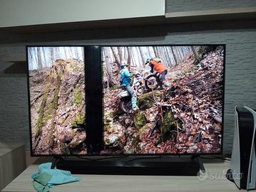 smart TV LG 55" da sostituire pannello