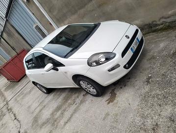 Punto Evo