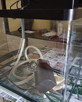 Acquario