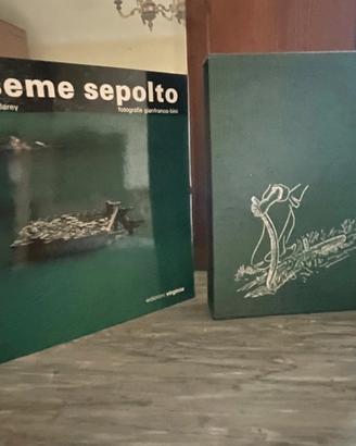 Libro Seme Sepolto