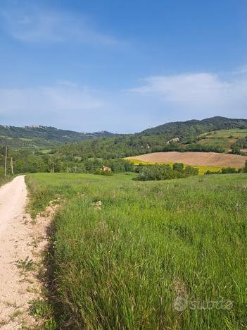 Terreno agricolo