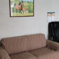 Divano 2 posti+copridivano+quadro puzzle cavalli