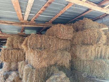 Balle Ballette Di Fieno Estate 2025