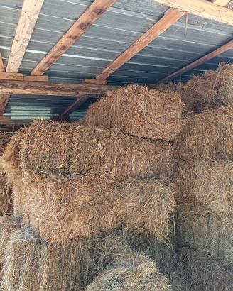 Balle Ballette Di Fieno Estate 2025