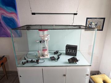 acquario 500 litri