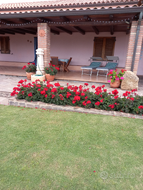 Casa vacanza a teulada vista mare