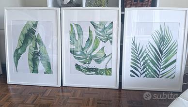 Stampe Botaniche cornici ikea
