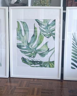 Stampe Botaniche cornici ikea