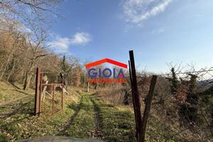 Terreno di 44767 m² a Roccamonfina