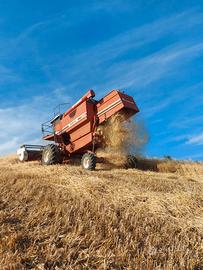 Mietitrebbia Fiatagri Laverda 3550 AL