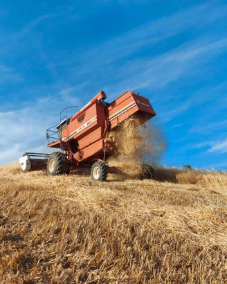 Mietitrebbia Fiatagri Laverda 3550 AL