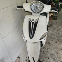 Yamaha D'elight 125