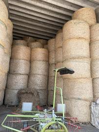 Fieno loietto balloni rotondi