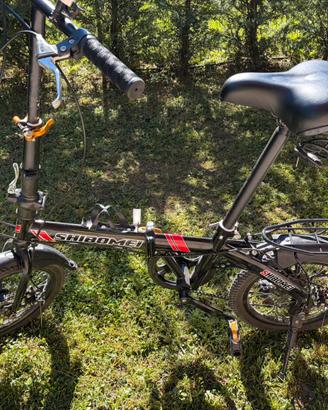Bicicletta Pieghevole