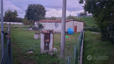 Terreno agricolo 300 euro mensili