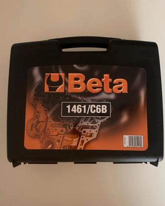 Kit Messa in Fase Beta 1461/C6B