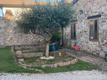 Casa storica ristrutturata in linea - pa154555