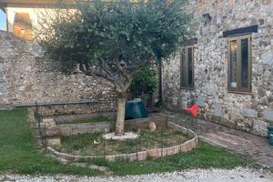 Casa storica ristrutturata in linea - pa154555