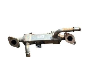 Scambiatore egr 1900 TDI 115 Cavalli Golf 4 Sharan