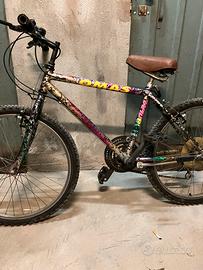 Mountain bike24