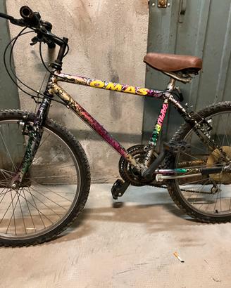 Mountain bike24