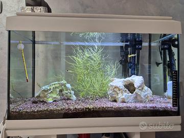 Acquario 60 litri con pompa esterna