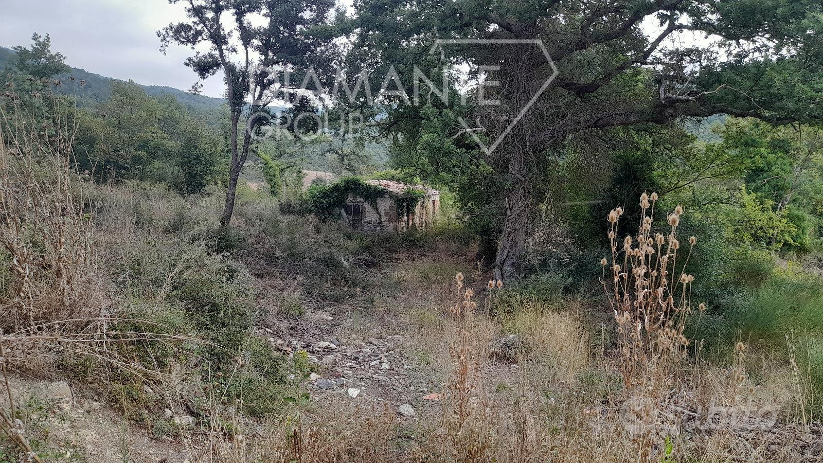 Azienda agricola con casale e 6 ettari di terreno - Altro