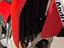 Immagine 11
