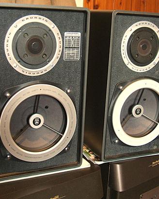 Grundig Box 450 e Grundig Box 800 casse