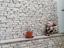 Immagine 26