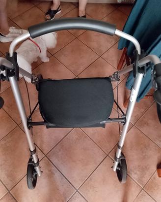 deambulatorio x anziani