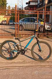 bici wolfking 27,5